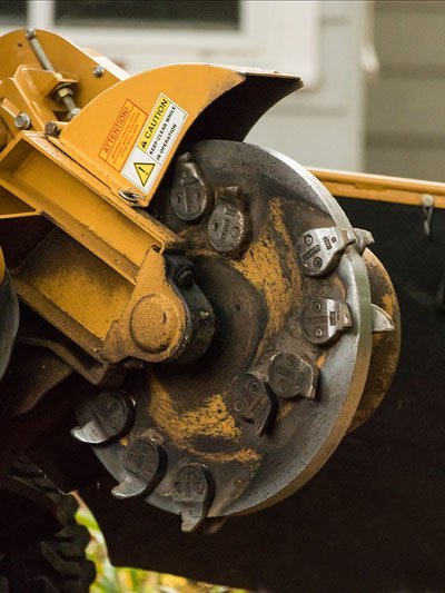 Stump grinding service