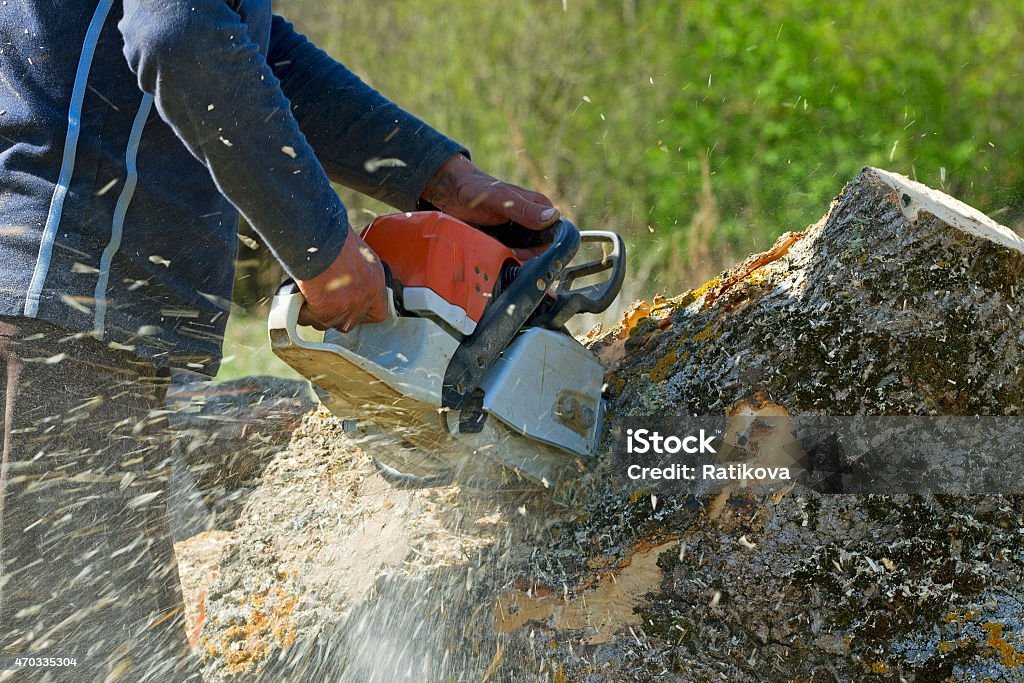 Commercial property tree management
